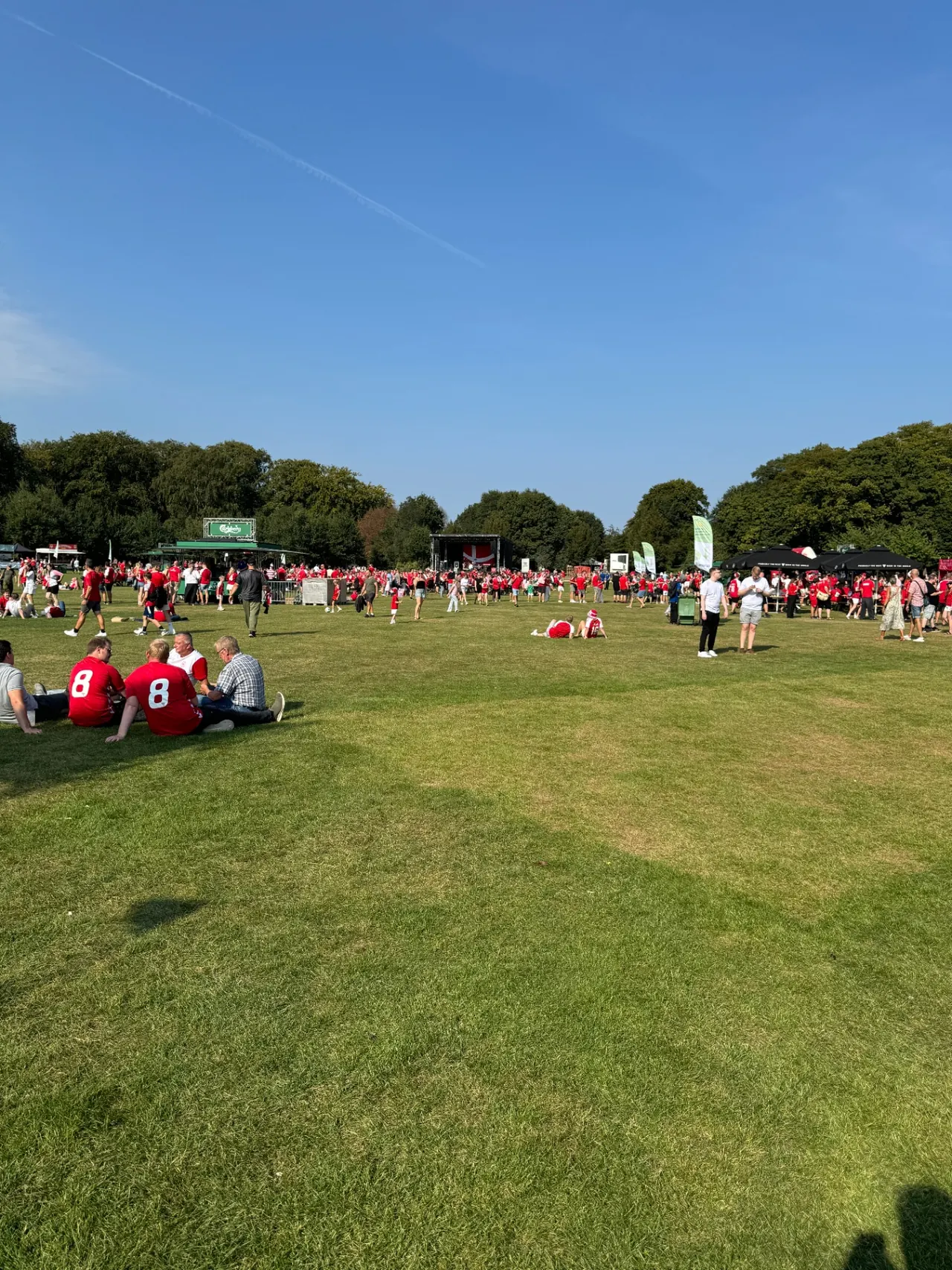 Festivalområde med publikum på en græsplæne foran en scene